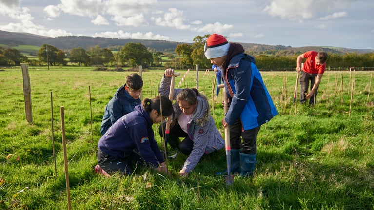Community tree planting day on the Holnicote Estate, Exmoor, Somerset